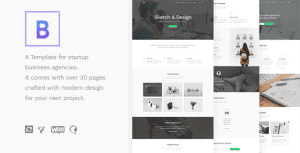 BoTheme – Startup Business WordPress Theme