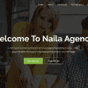 Naila – One Page MultiPurpose WordPress Theme