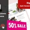 Buscom – Business Consulting WordPress