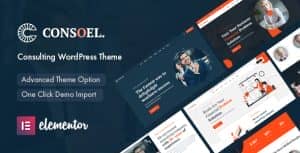 Consoel – Consulting Business WordPress Theme