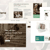 OldHaven – Shopify Store for Old Age Home Medical Equipments