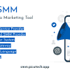 PicoSMM – Social Media Marketing Script Panel