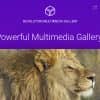 Revolution Multimedia Gallery WordPress & WooCommerce Plugin