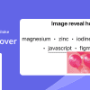 Image Reveal Hover Effects Addon For Elementor