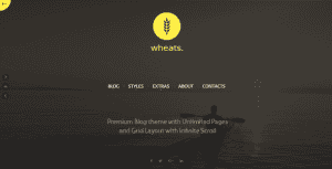 Wheats – Blogging WordPress Theme