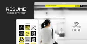 Résumé Tumblr Theme