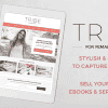 Tribe – Feminine Coach WordPress Theme