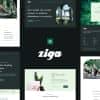 Ziga – Healer & Life Coach Elementor Template Kit