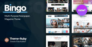 Bingo – Newspaper & Magazine WordPress Theme