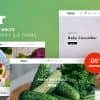 Gınar – Organic Vegetables Responsive Shopify 2.0 Theme