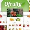 Ofruity – Organic Food/Fruit/Vegetables eCommerce Shopify Theme