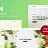 Vagen – Organic Vegetables Responsive Shopify 2.0 Theme