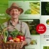 Vegvi – Organic Vegetables Responsive Shopify 2.0 Theme