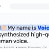 Voicer – Text to Speech Plugin for WordPress