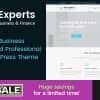 The Experts – Business Consulting and Professional Services WordPress Theme