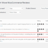 Copy or Move WooCommerce Reviews