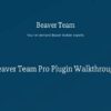 Beaver Team Pro for Beaver Builder Professional WordPress Plugin