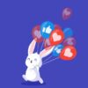 Social Rabbit – WordPress Plugin for Auto-Running and Auto-Promoting