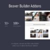 Livemesh Addons for Beaver Builder Pro