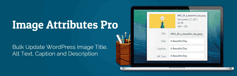 Auto Image Attributes Pro