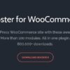 Booster Plus for WooCommerce plugin
