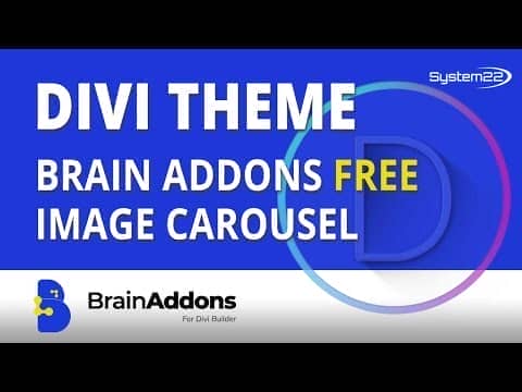 Brain Carousel for Divi