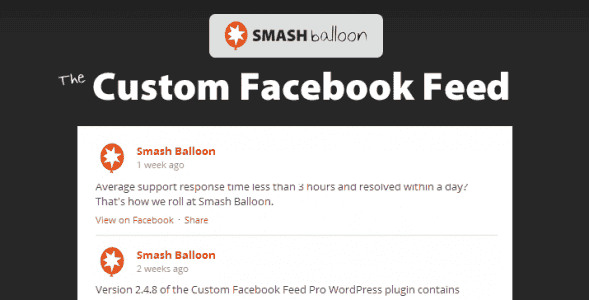 Custom Facebook Feed Pro Smash