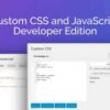 Custom CSS and JavaScript Developer Edition