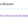 Divi Shortcode Enabler