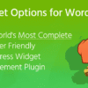 Widget Options – Extended