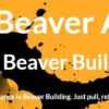 Ninja Beaver Addon For Beaver Builder
