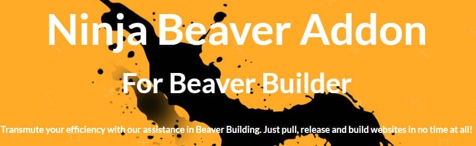 Ninja Beaver Addon For Beaver Builder