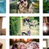 Weblizar Responsive Photo Gallery Pro