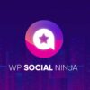 WP Social Ninja Pro – The Best Social Media Plugin