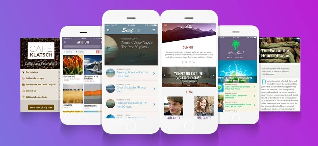 WPtouch Pro Full Package