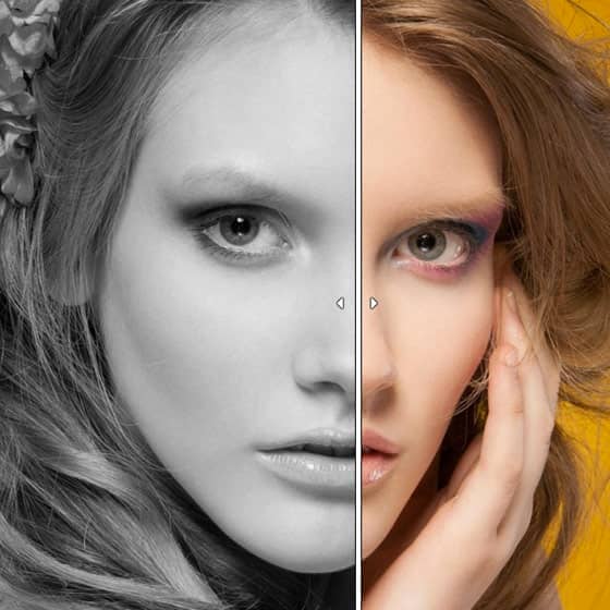 Themify – Builder A/B Image