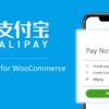 Alipay Cross Border Payment Gateway