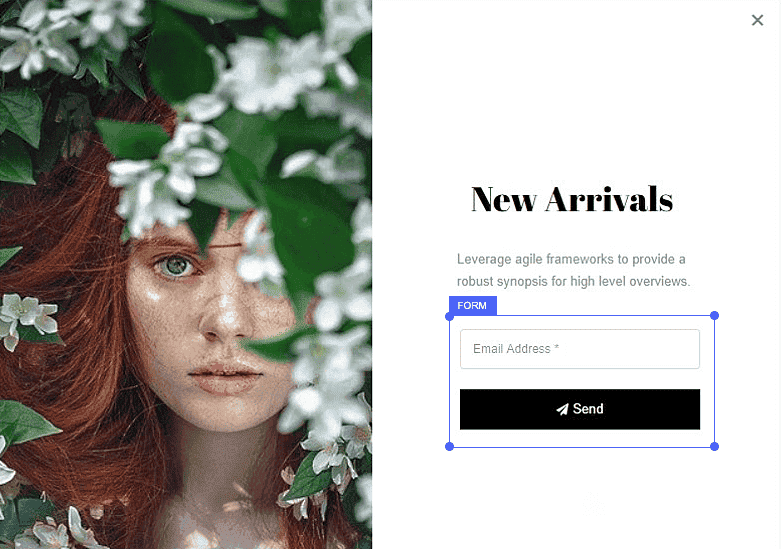 Brave – Drag n Drop WordPress Popup, Optin, Lead Gen & Survey Builders