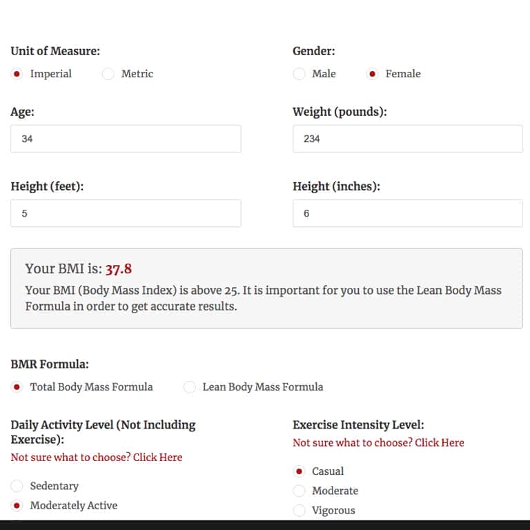 The Macro Tool for WordPress