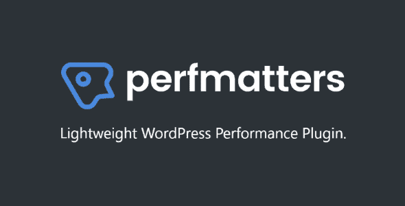 Perfmatters – The #1 Web Performance Plugin for WordPress