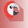 Polylang Pro – Most Popular Multilingual WordPress Plugin