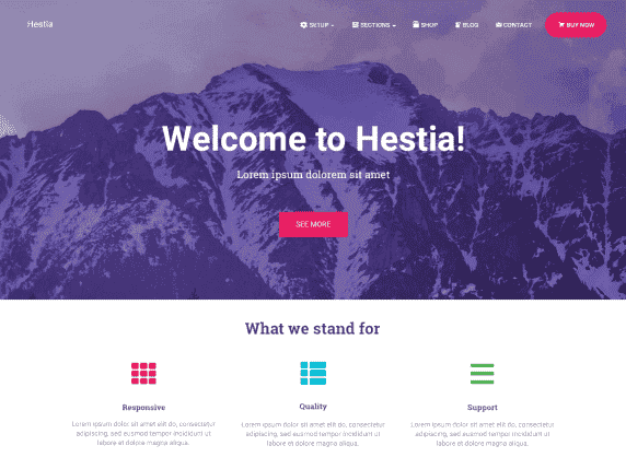 Hestia Pro