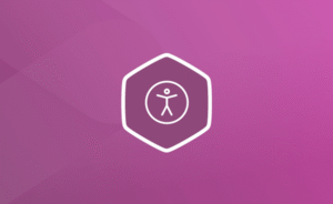 DJ-Accessibility Pro
