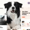 Petlox | Pet Care & Veterinary React Template