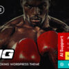 Ring – Martial Arts & Boxing WordPress Theme