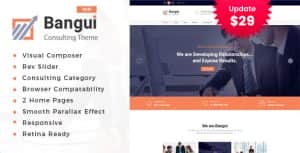 Bangui – Business Consulting WordPress theme