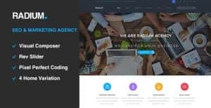 Radium – SEO /Digital Agency WordPress Theme