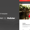 Hice Mail – Responsive E-mail Template + Online Access + Mailster + MailChimp