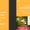 Mile – Responsive E-mail Template + Themebuilder Access