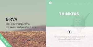 Birva – Creative One Page Template